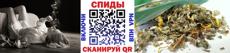 закладка Хилок Бутират BDO