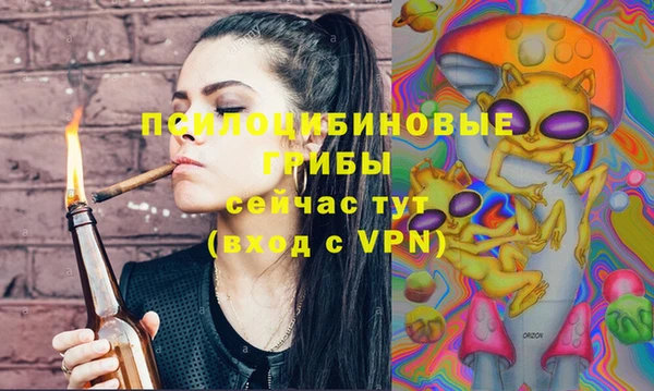 синтетический гашиш Козловка