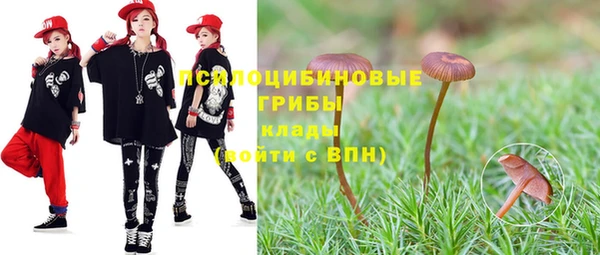 синтетический гашиш Козловка
